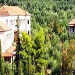 Kalamitsi Отель Кардамили